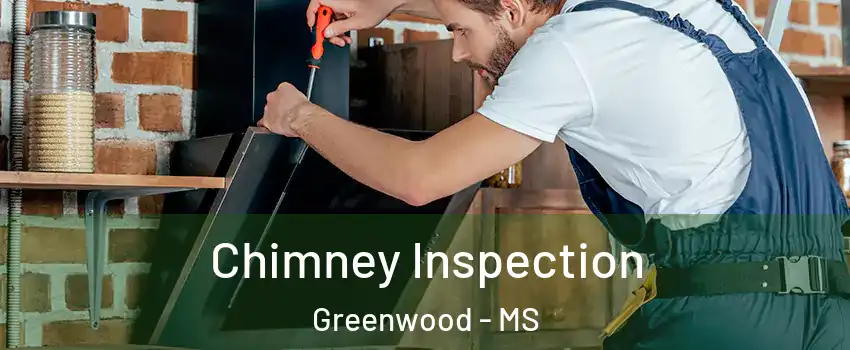  Chimney Inspection Greenwood - MS