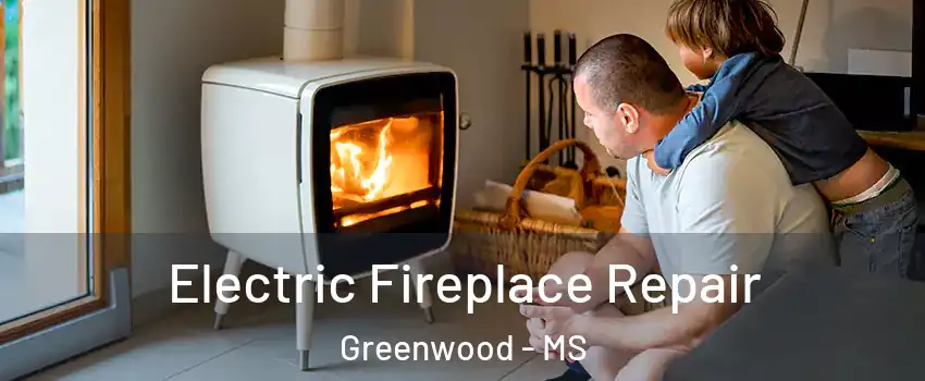  Electric Fireplace Repair Greenwood - MS