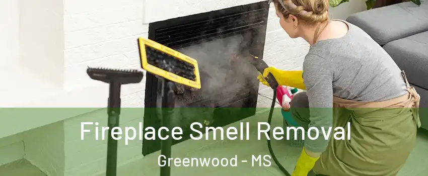  Fireplace Smell Removal Greenwood - MS