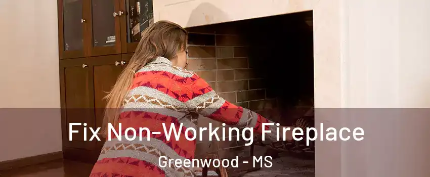  Fix Non-Working Fireplace Greenwood - MS