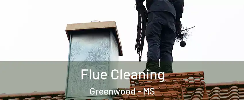  Flue Cleaning Greenwood - MS