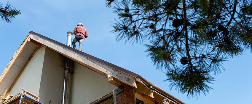 Birds Removal Contractors from Chimney in Greenwood, MS
