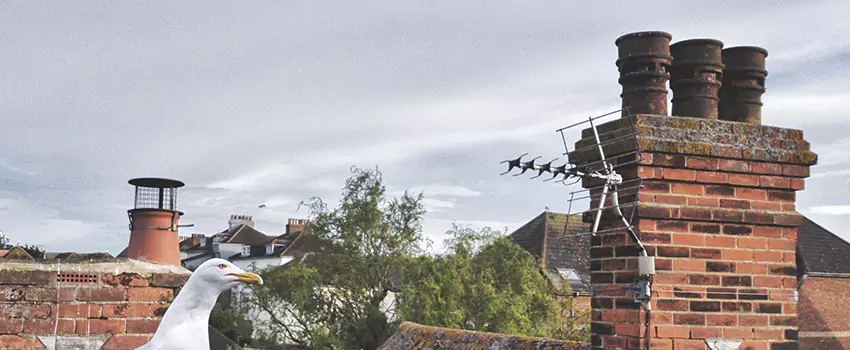 Chimney Cleaning And Restoration in Greenwood, Mississippi