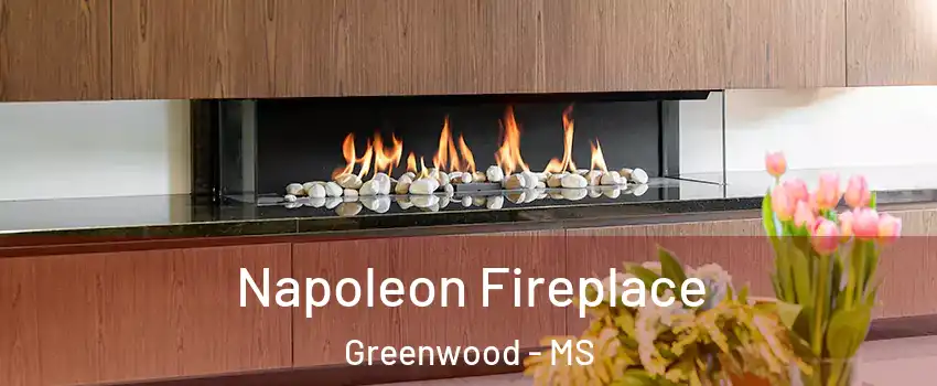  Napoleon Fireplace Greenwood - MS